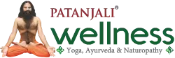 patanjali booking logo